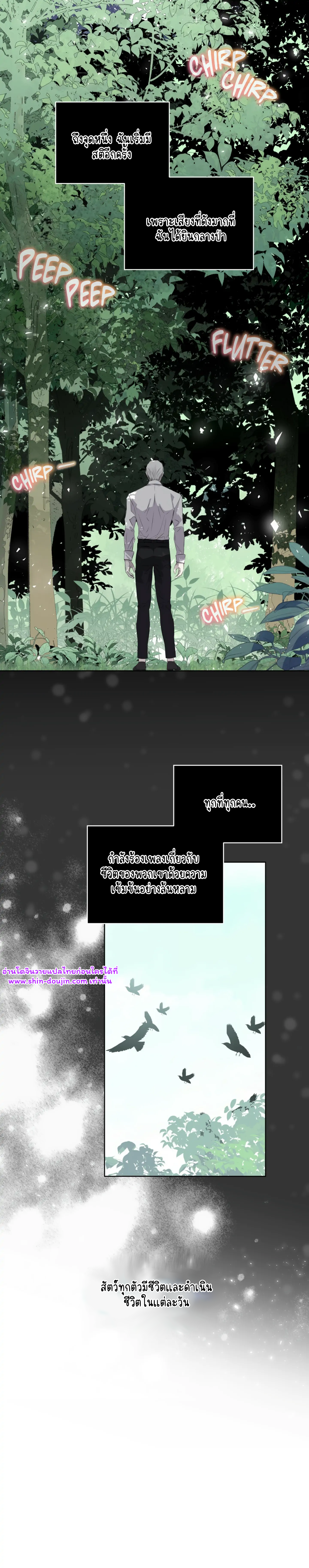 Forest Sea EP 11